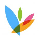 ywi_feathers ywi_feathers